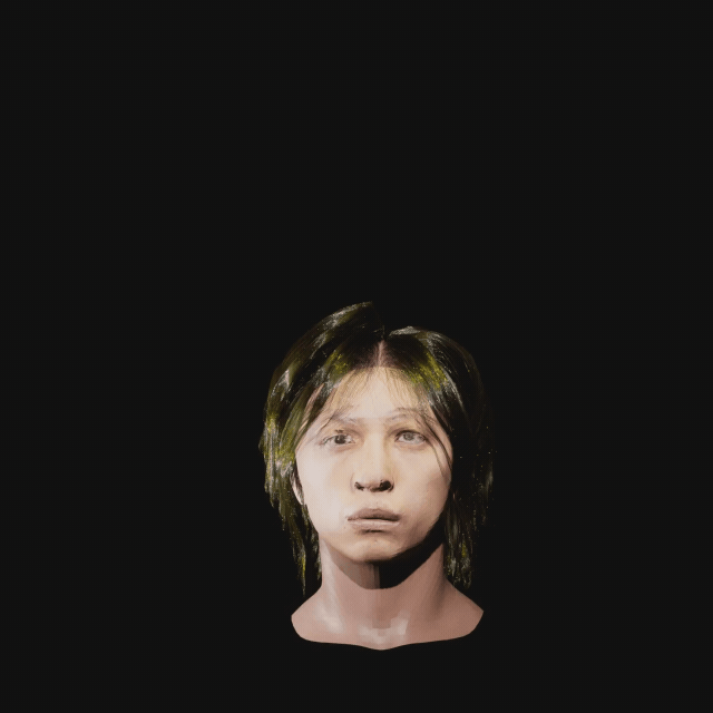 image-13.gif