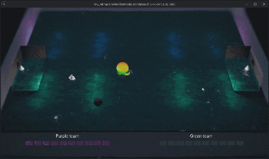image-11.gif