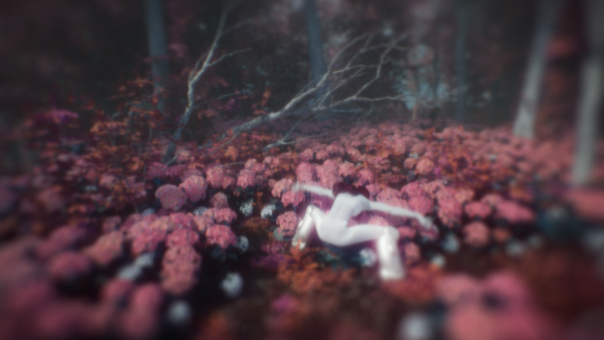 image-2.png