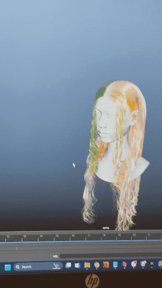 image-5.gif